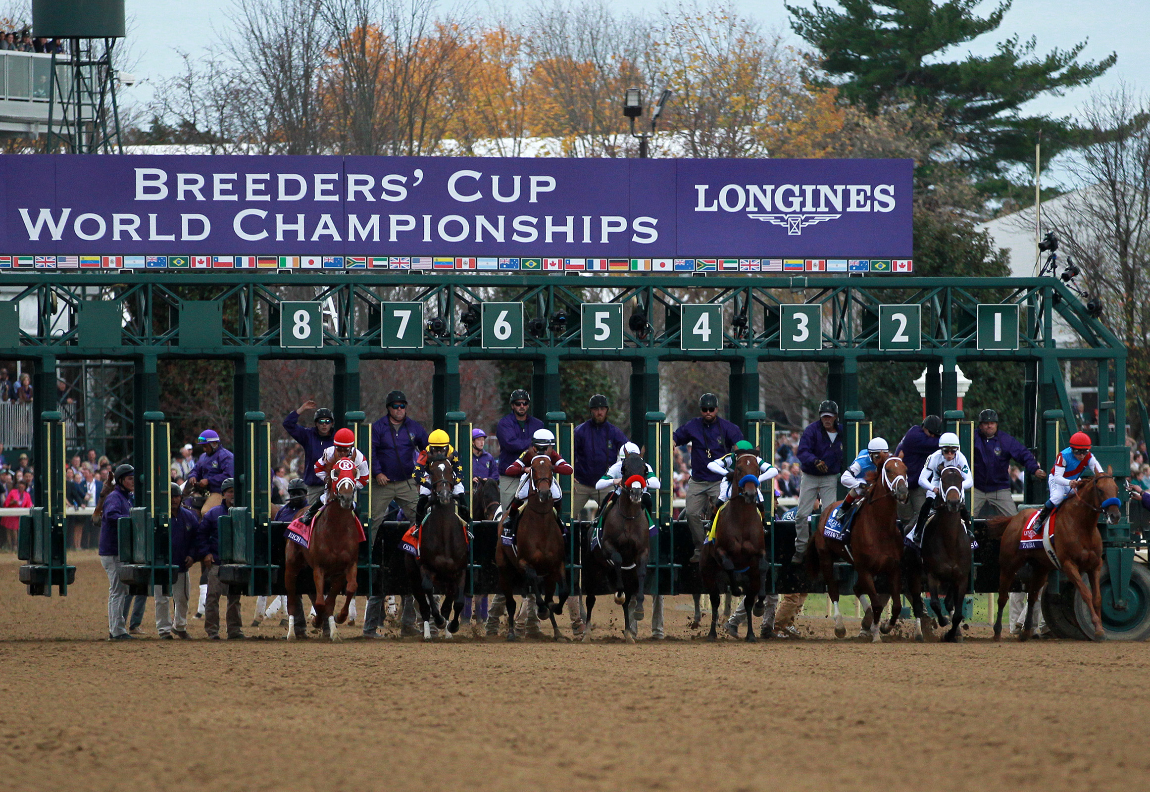 Breeders Cup 14 race handle sets record with 4.9 percent